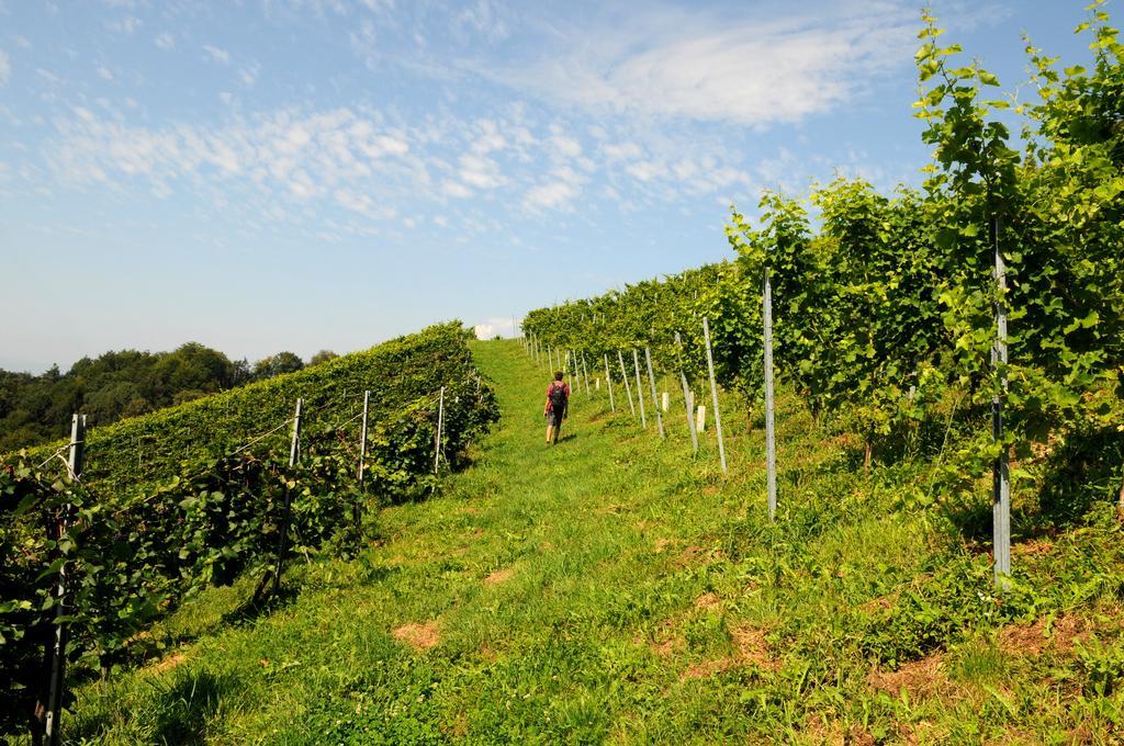Weingut Winzerzimmer Rothschaedl Leutschach Ngoại thất bức ảnh