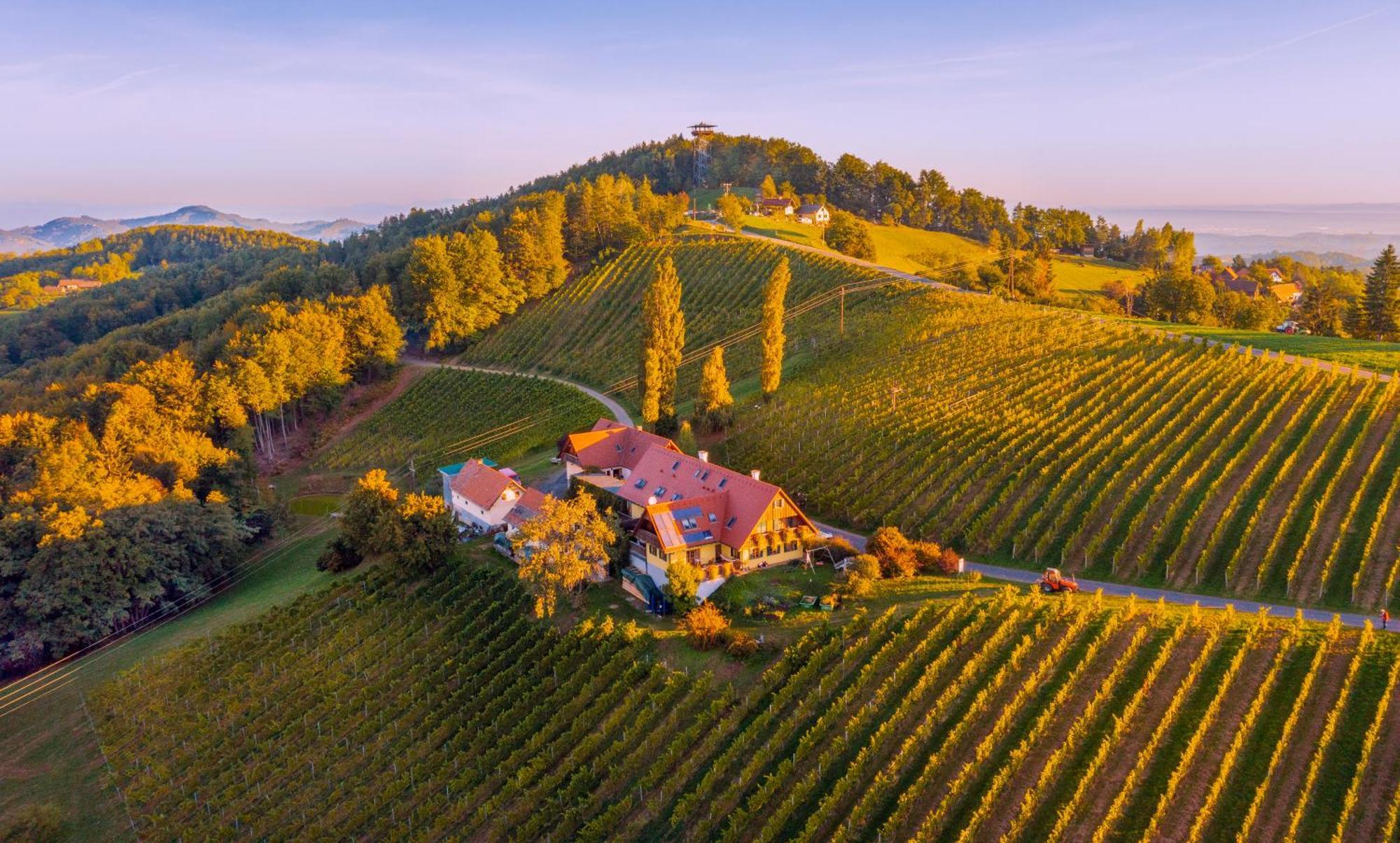 Weingut Winzerzimmer Rothschaedl Leutschach Ngoại thất bức ảnh