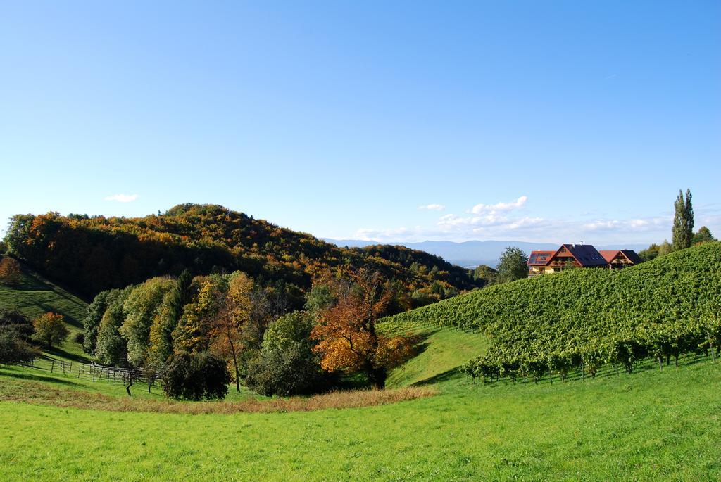 Weingut Winzerzimmer Rothschaedl Leutschach Ngoại thất bức ảnh